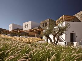 Anemelia Hotel Mykonos，位于埃利亚海滩的酒店