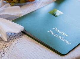 Pension Pusteblume，位于Meyenburg的酒店