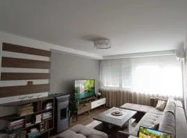 Cozy Nest Apartment Konjic