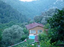 İzmir Yaşam Vadisi