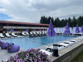 Paradise SPA Hotel，位于西格伏沙尔克的酒店
