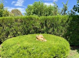 Sias Cozy House，位于锡基亚的酒店