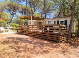 La Baume La Palmeraie Camping Resort