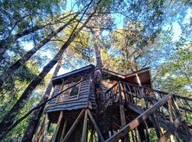 Caba&ntilde;ita del &Aacute;rbol C&oacute;ndor，位于拉斯特朗卡斯的乡村别墅