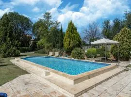 Spacious holiday home with private pool and park