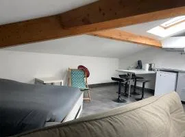Studio7 proche fac climatisé
