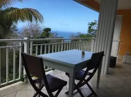 Appartement confortable a Deshaies avec vue sur la mer 55 m²