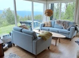 Steinstølen by Norgesbooking - cabin with a lovery view，位于Hol的酒店