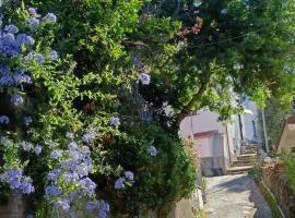 Il Mare a un passo da casa SAMY