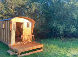 Shepherds Hut on Alpaca and working farm，位于布莱奈费斯蒂尼奥格的豪华帐篷