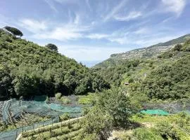 Casa Sangineto - Minori - Costa Amalfitana- A Paradise in the countryside