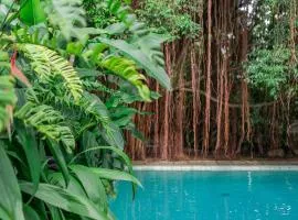 The Fern Cove Villa - Colombo
