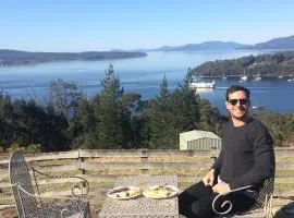 布鲁尼维斯塔木屋