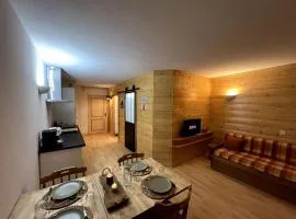 Appartement au pied des pistes