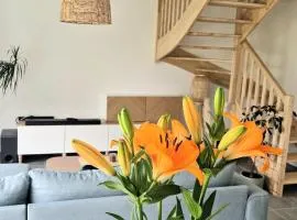 Maison moderne à Baden