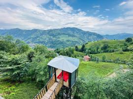 Organic village bungalow，位于艾德亚耶拉西的住宿加早餐旅馆