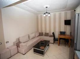 OLSO Apartment