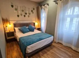 Hostal Luxury Green Madrid Gran Vía