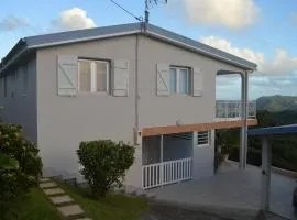 Maison charmante a Riviere Pilote avec vue montagne