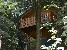 Treehouse Velké Losiny，位于大洛西尼的山林小屋