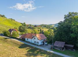 Family Friendly House Marija - Happy Rentals，位于Gradišča的酒店