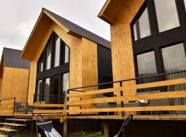 4 Chalet near Borjomi