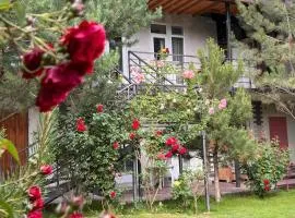 Podsolnukhi Guest House