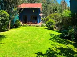 Alojamiento tipo Cabaña, rodeado de Bosque