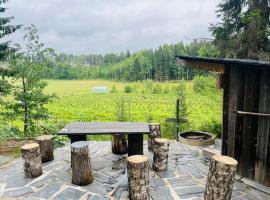 Maatilamajoitusta marjatilalla，位于Siuntio的酒店