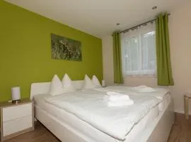 Ferienhaus Zauneidechse im Sternenpark