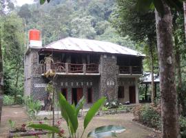 Rinte Green Village & Bukit Lawang Jungle Trekking，位于武吉拉旺的别墅