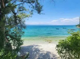 Apartment DULE Trpejca