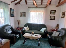 Zoja Apartman Vlasinsko Jezero，位于Šerdanova Mahala的酒店