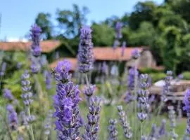 B&B Il Gattonero
