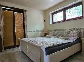 Pokoj se zimní zahradou - Relax v Chřibech - Kroměříž - Kostelany