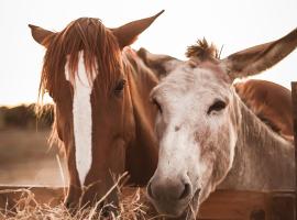 Quinta das Caçadoras - Animal lovers only，位于帕尔梅拉的酒店