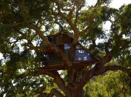 Tree house da Lage，位于圣路易斯的露营地