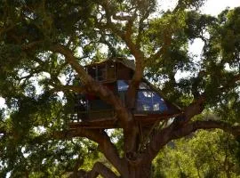 Tree house da Lage