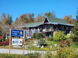 Pinnacle Lodge，位于Bromley Village的酒店