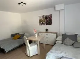 Apartament nr 1 lub 2 przy Sali Kominkowej