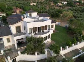 Zografos Studios Zacharo Zakharo