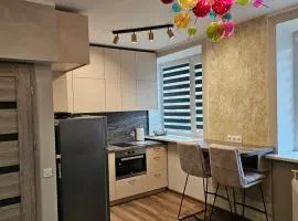 Koknese City Apartment