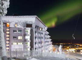 Hotel Levi Panorama，位于列维的酒店