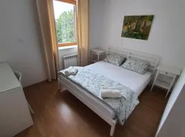 Prenočišča Center Mir In Dobro