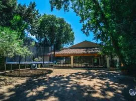 Villa spacieuse, grande piscine et jardin