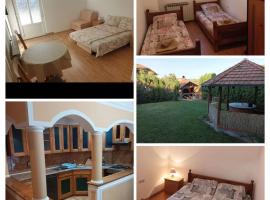 Apartmani Milivojevic，位于索科矿泉村的酒店
