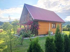 Domek letniskowy Pod Różami，位于米奇科夫采的酒店