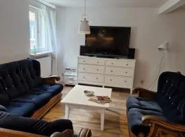 Apartament u Zdrojka