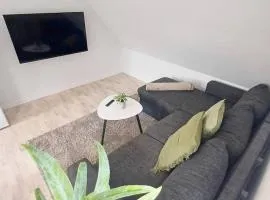 Lovely 1 Bedroom Apartment In Hjoerring