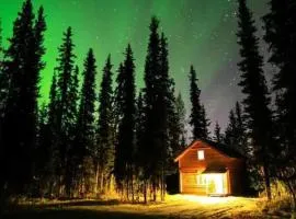 Cabin in the woods Fairbanks, Alaska, United States